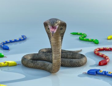 iStock-1269362821-qka3i9txftjzmd2vx21kxa